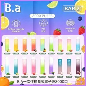 B.A一次性抛棄式電子煙8000口