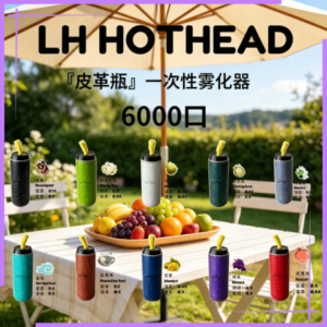 LH HOTHEAD皮革瓶6000口拋棄式電子煙可充電一次性